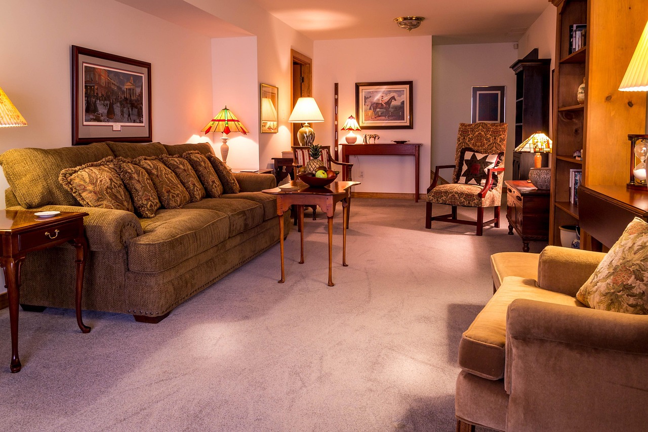 designer rug living room